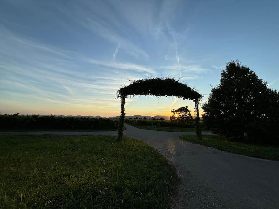 Ferienwohnung In Der Suedpfalz Zeiskam Экстерьер фото